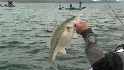 Zaldain S Good Spotted Bass Catch Bassmaster