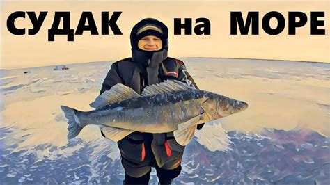 Ловля СУДАКА на ВИБЫ на ВОДОХРАНИЛИЩЕ - YouTube