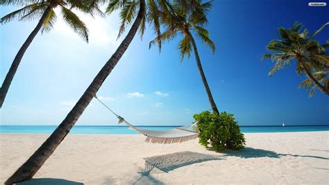 bahamas beach wallpapers  hd backgrounds  wallpaperbat