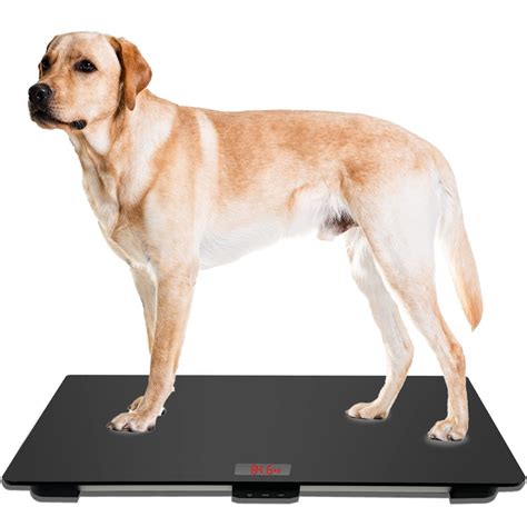 Mindpet Med Pet Scale For Large Dog Veterinary Scale With Non Slip Mat