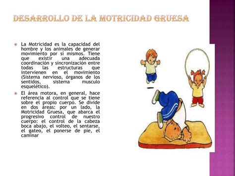 Que Es Motricidad Fina Y Gruesa