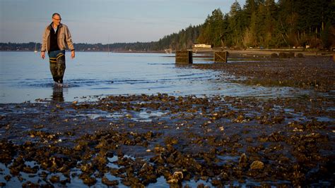 How climate change threatens the seas