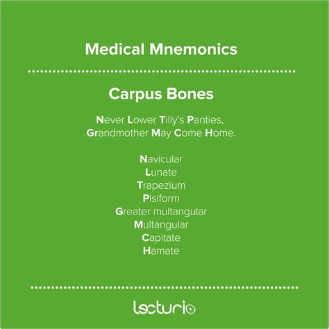 Wrist Bones Mnemonic