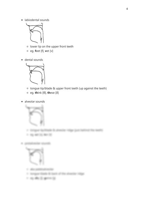 Hard ck sounds are changing how linguists study modern phonetics 14