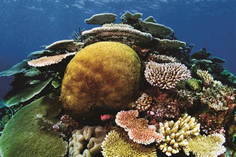 This review explains why beacon tap is the city’s best dive bar 30