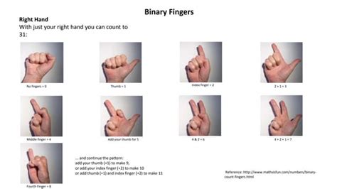 Binary fingers | PPT