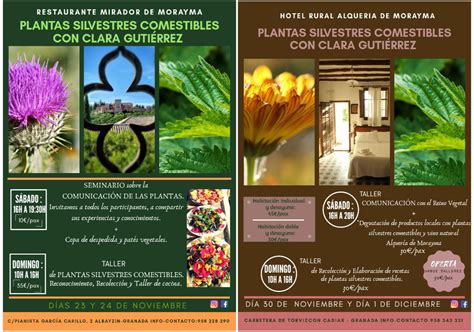 plantas silvestres alqueria de morayma