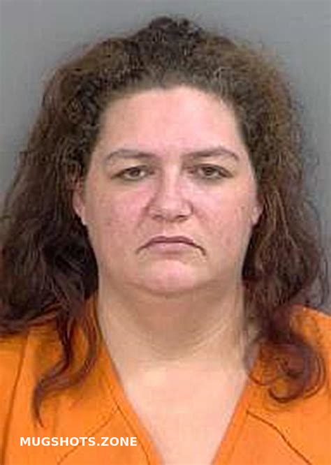 Smith Heather Collier County Mugshots Zone