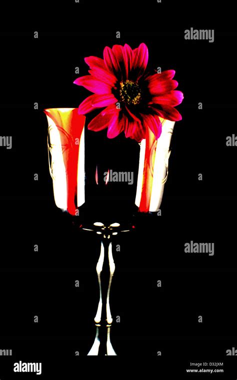 Kelch Mit Blumen Und Blut Stockfotografie Alamy