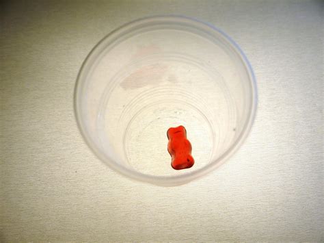 Gummy Bear Osmosis Experiment | Sciencedipity Devon