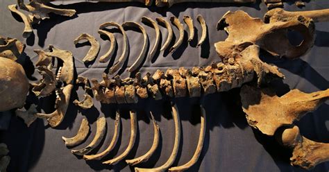 black deaths ancient origins traced  lake  central asia los