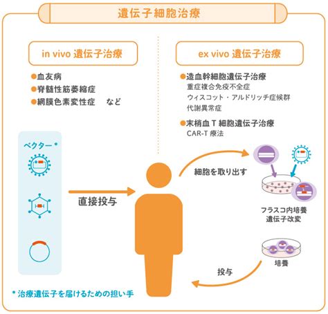 gene cell therapy promotion center