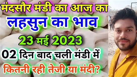 मंदसौर मंडी का आज का लहसुन का भाव 23 मई 2023 Today Fresh Garlic Rate