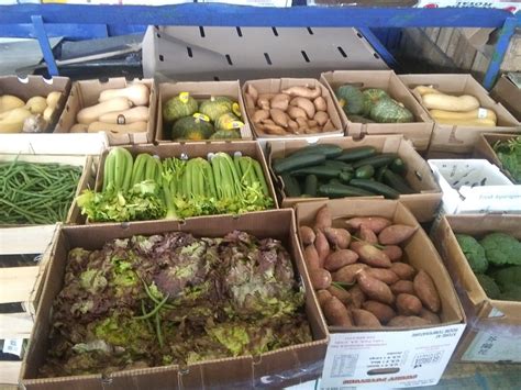 Travel Guide to Bronx Terminal Market via Public Transit 8