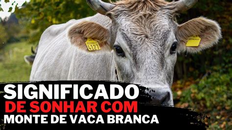O Que Significa Sonhar Com Vacas Branca - Significado de Sonhar com monte de vaca branca - YouTube