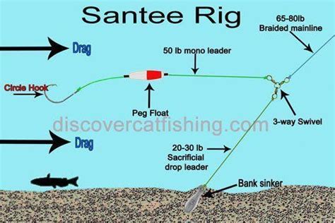 Catfish Rigs Saltwaterfishing Catfish Rigs Catfish Fishing Fishing