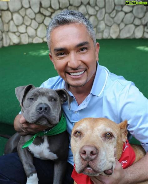 Cesar Millan Cesar Millan 5