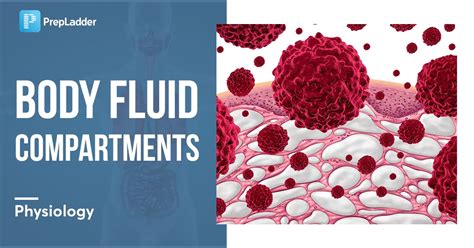 Body Fluid Compartments And Its Measurement Prepladder