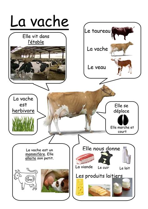 Learn French Vache Animaux De La Ferme