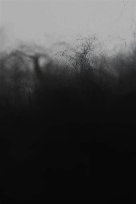 Sustainability | Filippa K