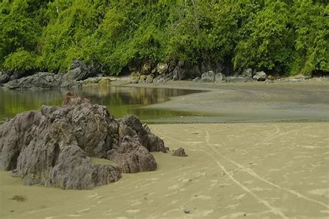 Taman Nasional Meru Betiri Di Jawa Timur Surga Flora Dan Fauna Pos Bali