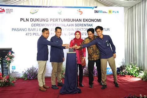 Program Electrifying Agriculture PLN Terbukti Tingkatkan Pendapatan