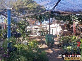 Lote Terreno En Alquiler San Crist Bal Zona De Zona Mixco