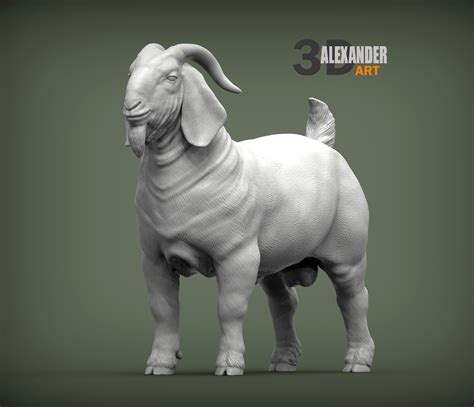 STL File Boer Goats Male 3D Printed Model 3D Printer Model To