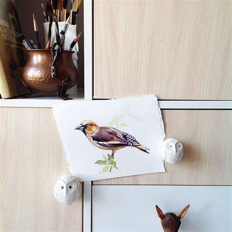 Захотелось ярких… | Flower illustration, Drawing & painting, Watercolor