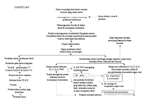Pathway Sepsis Neonatorum - vrogue.co