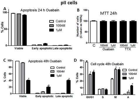 Effect Of Ouabain Treatment On Pii Cell Apoptosis And Cell Cycle