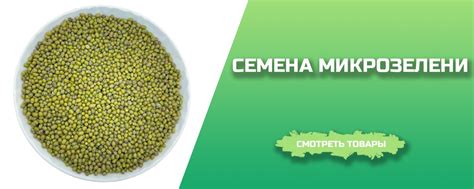 Семена для микрозелени | удобрения | стеллажи в магазине «Daikon»