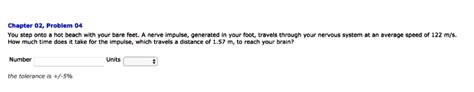 Chapter Problem You Step Onto Hot Beach With Your Bare Feet Nerve Impulse Generated In
