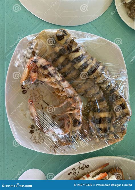 Photo of Mantis Shrimp Sea Locust Prawn Killer or Thumb Splitter on