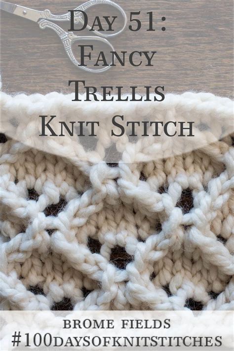 Fancy Trellis Knit Stitch Daysofknitstitches Lace Knitting