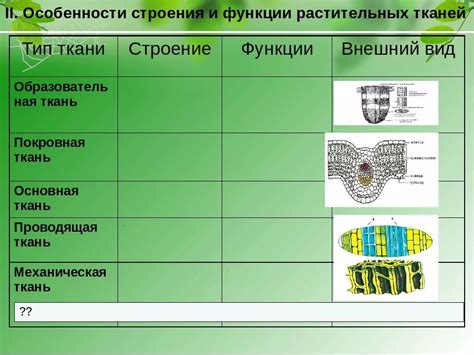 Биология учебник ткани