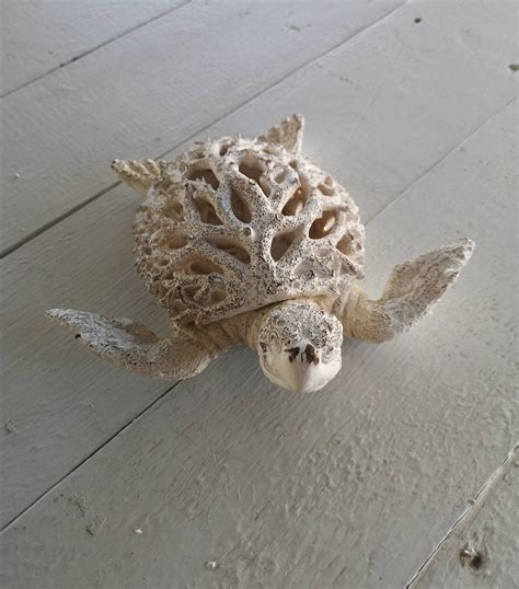 Seashell Crafts Beach Crafts Baby Turtles Sea Turtles Sea Turtle