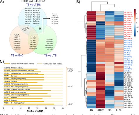 Figure From Reprogramming Of Small Noncoding Rna Populations In