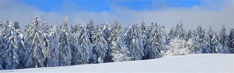 Adventskalender 2023 SV Elbland Coswig Meißen e V