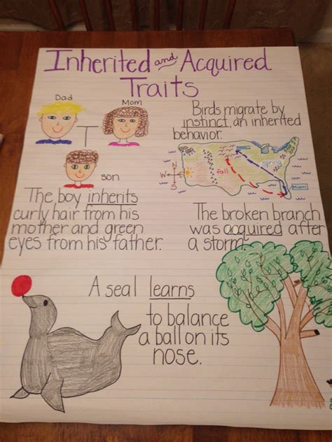 Science vocabulary ideas collaborative anchor charts for inherited ...