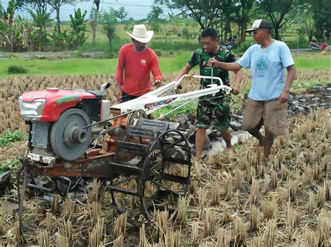 Gambar Traktor Sawah – pulp