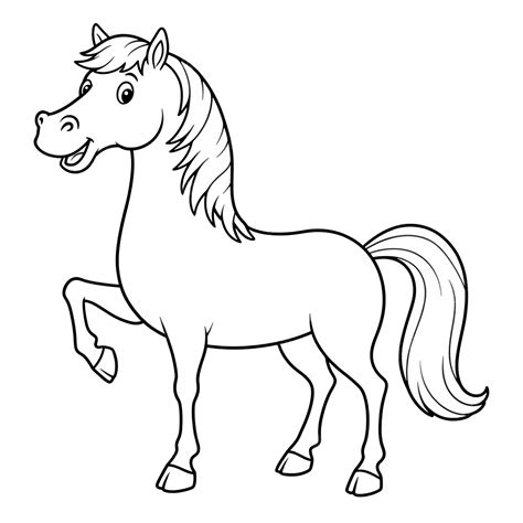 Kw Para Cavalos 4