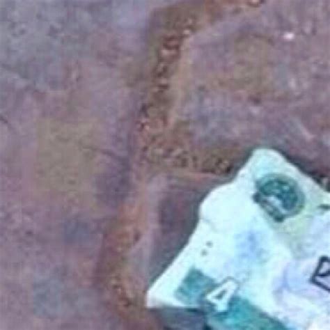 Flappy Trump Flappy Porn Twitter