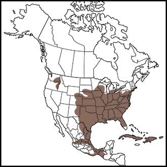 Bobwhite Map