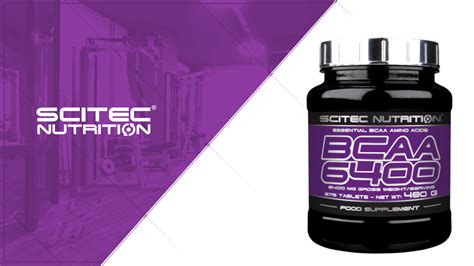 Nutrition Store Sport-Max - bodybuilding, supplements and nutrition for ...