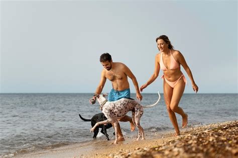 Cachorro Se Divertindo Na Praia Foto Gr Tis