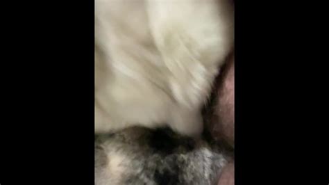 Новая шуба получает сперму Pornhub Gay