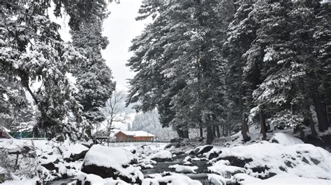 tourists flock  gulmarg  sonamarg  kashmirs  snowfall