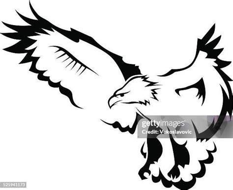 Soaring Eagle Tattoo Photos And Premium High Res Pictures Getty Images