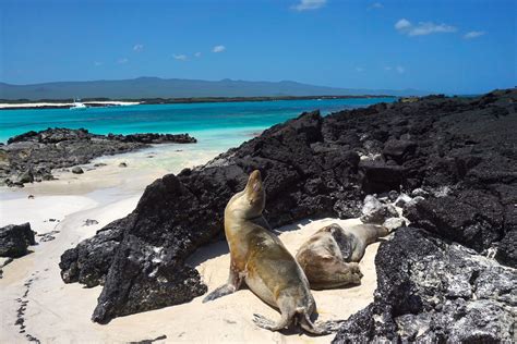 islas galapagos viaje portugalessencecom